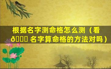 根据名字测命格怎么测（看 🕊 名字算命格的方法对吗）